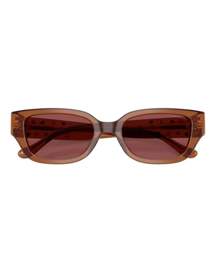 Acetate Sunglasses CBZ52 in Brown image 4