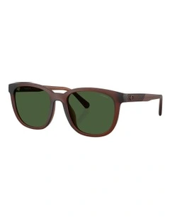 CCA00 Injected Sunglasses in Brown