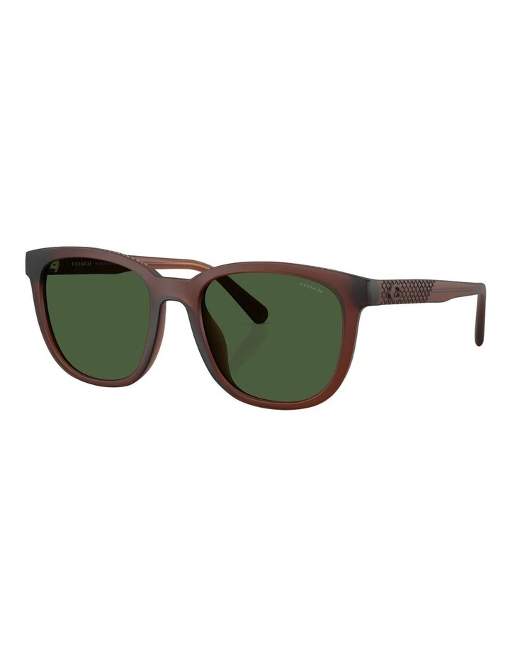 CCA00 Injected Sunglasses in Brown image 1