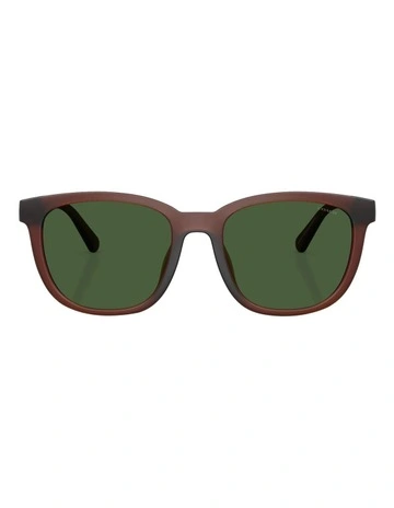 CCA00 Injected Sunglasses in Brown