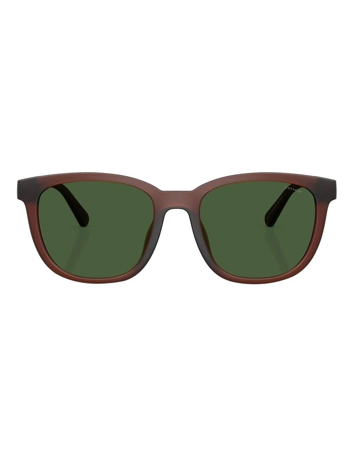 CCA00 Injected Sunglasses in Brown image 2