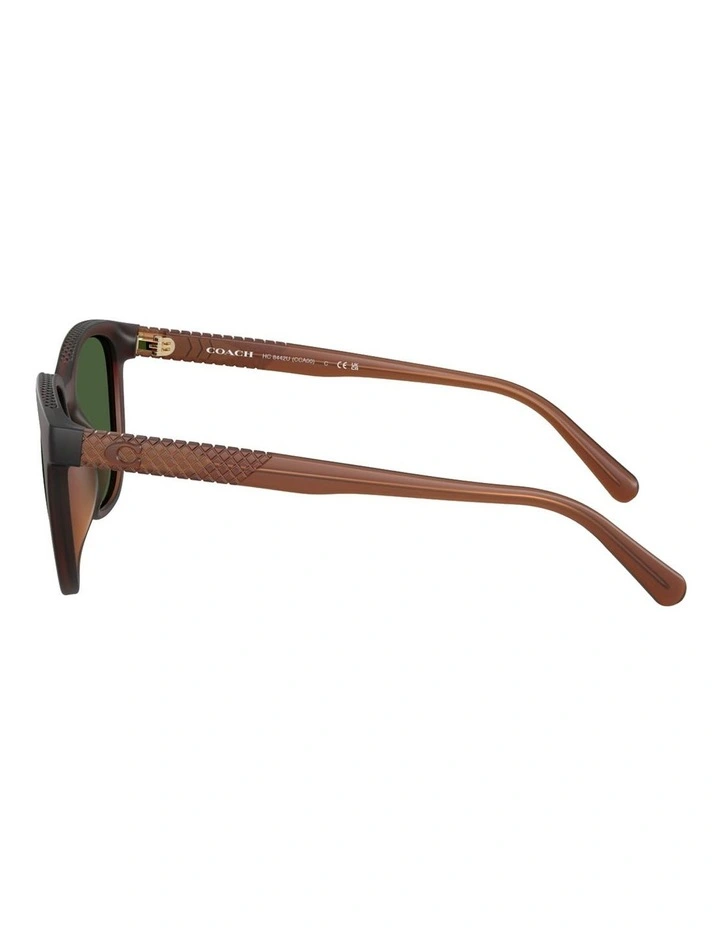 CCA00 Injected Sunglasses in Brown image 3