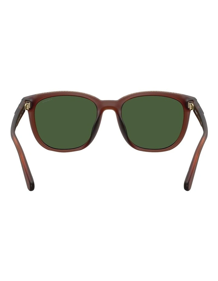 CCA00 Injected Sunglasses in Brown image 4