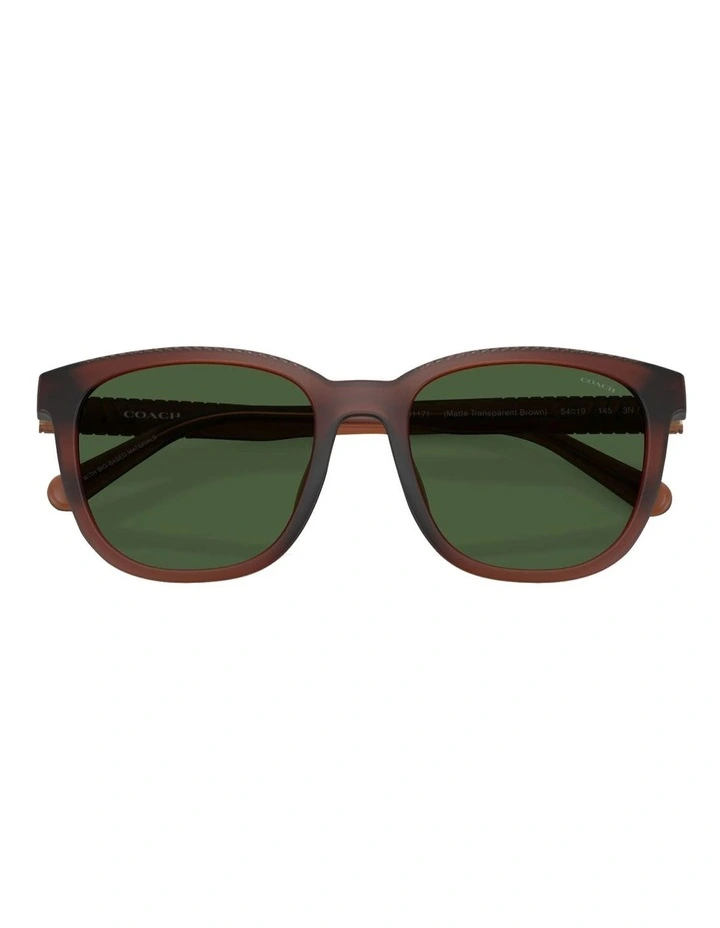 CCA00 Injected Sunglasses in Brown image 5
