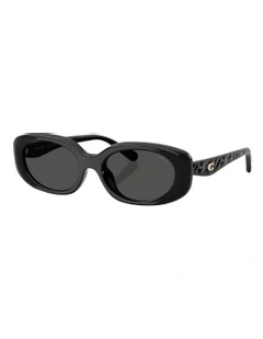 Injected Sunglasses CBY84 in Black
