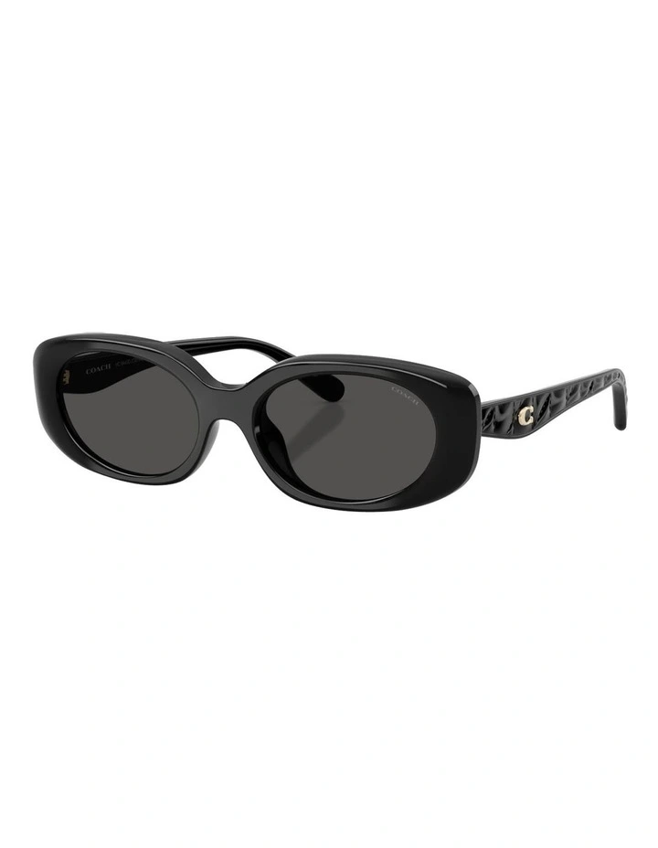 Injected Sunglasses CBY84 in Black image 1