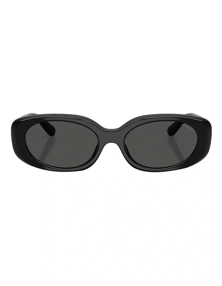Injected Sunglasses CBY84 in Black image 2