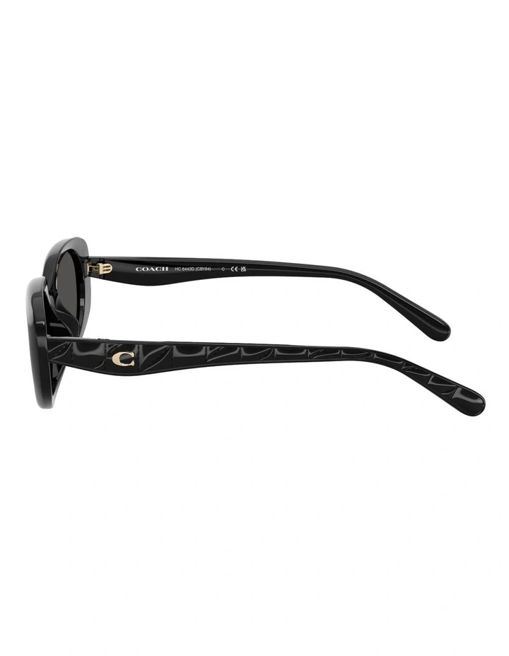 Injected Sunglasses CBY84 in Black image 3
