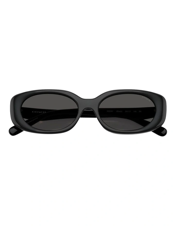 Injected Sunglasses CBY84 in Black image 4