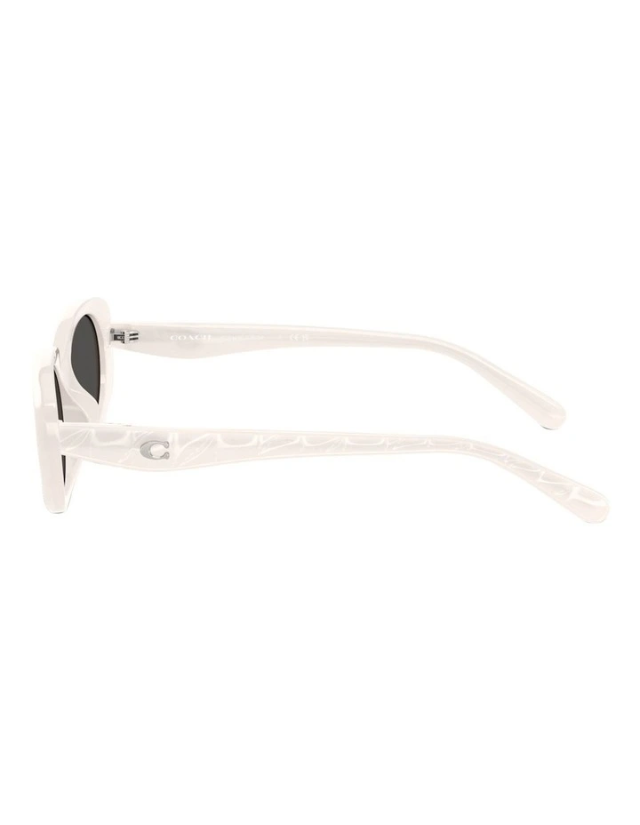 Injected Sunglasses CBY84 in White image 3