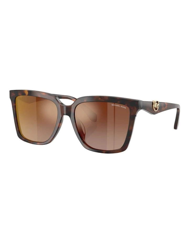 Menaggio Acetate Sunglasses in Tortoise image 1