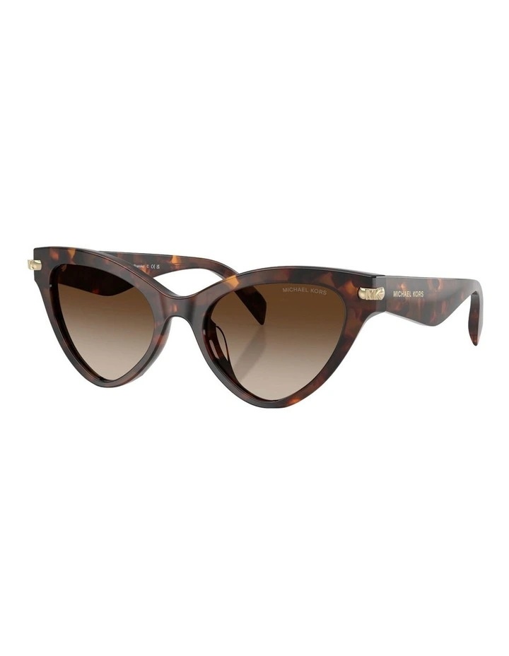 Roanoke Acetate Sunglasses in Tortoise image 1