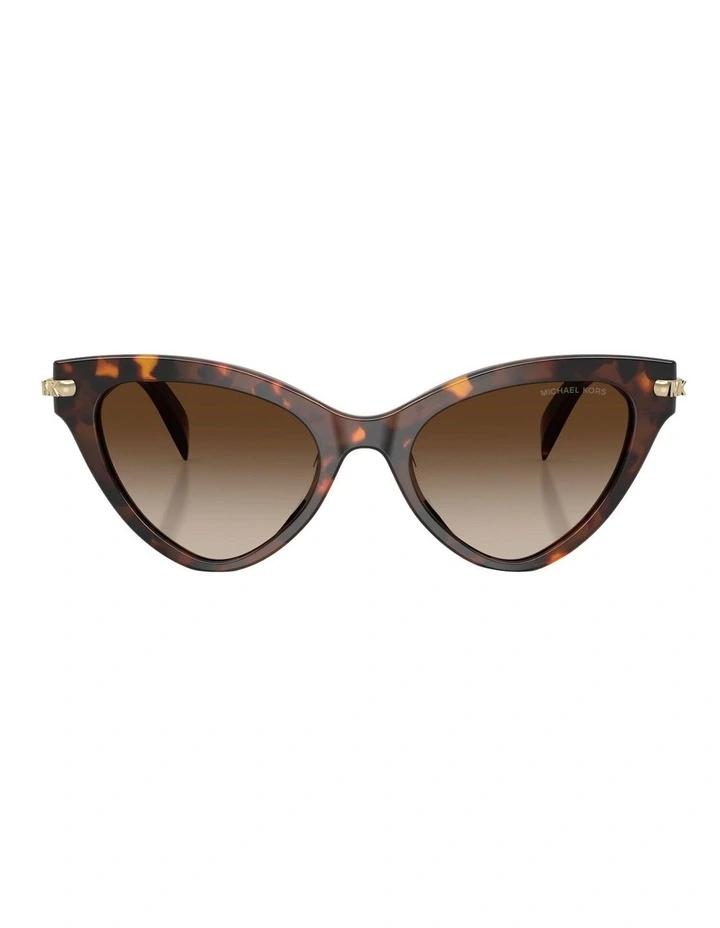 Roanoke Acetate Sunglasses in Tortoise image 2