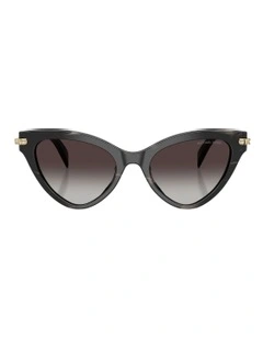 Roanoke Acetate Sunglasses in Black