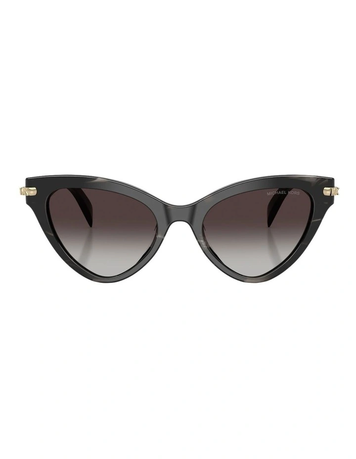 Roanoke Acetate Sunglasses in Black image 1