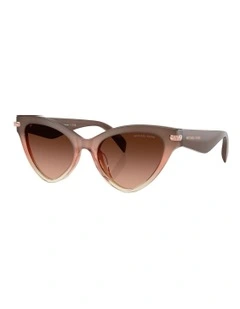 Roanoke Acetate Sunglasses in Pink