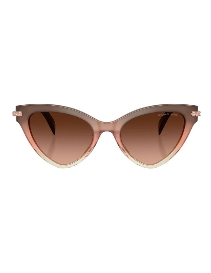 Roanoke Acetate Sunglasses in Pink image 2