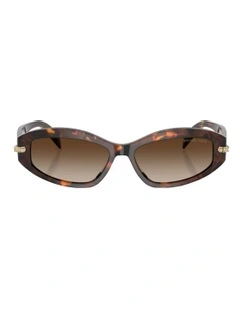 Wilmington Acetate Sunglasses in Tortoise