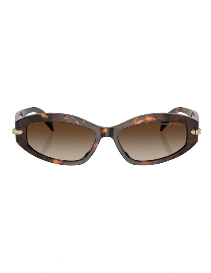 Wilmington Acetate Sunglasses in Tortoise image 1