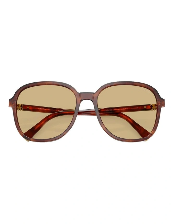 Acetate Sunglasses in Brown image 4