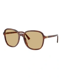 Acetate Sunglasses in Brown