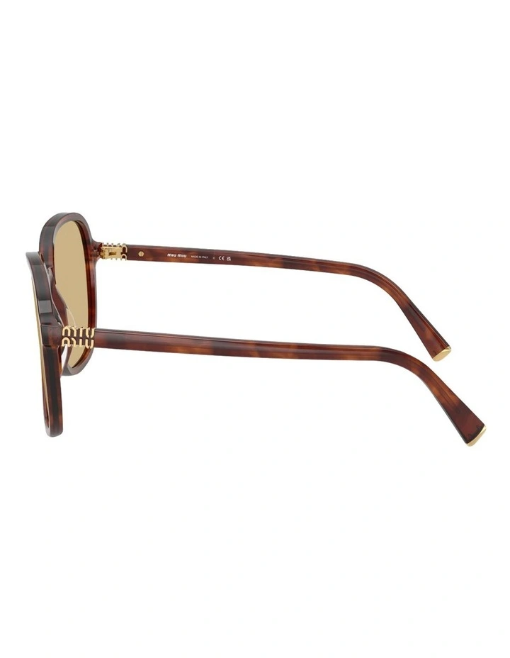 Acetate Sunglasses in Brown image 3