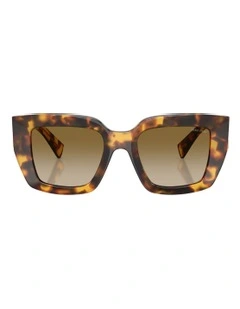 Acetate Sunglasses in Tortoise