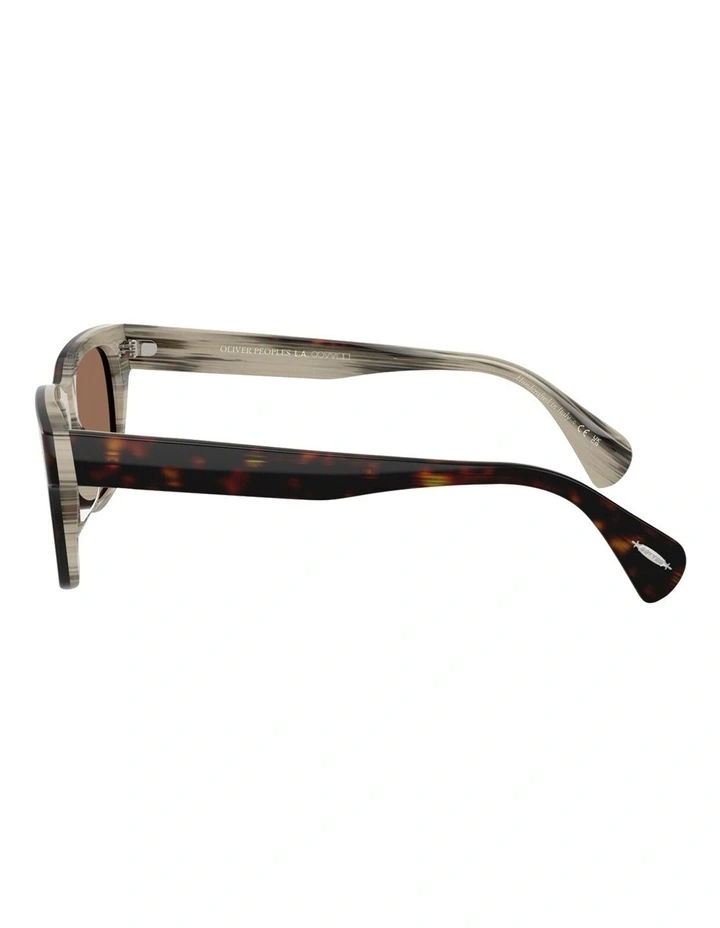 Ryce Sun Acetate Sunglasses in Tortoise image 3