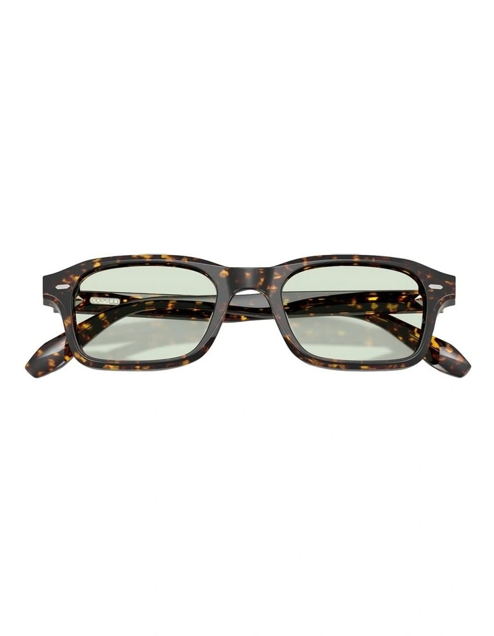 Acetate Sunglasses in Tortoise image 3