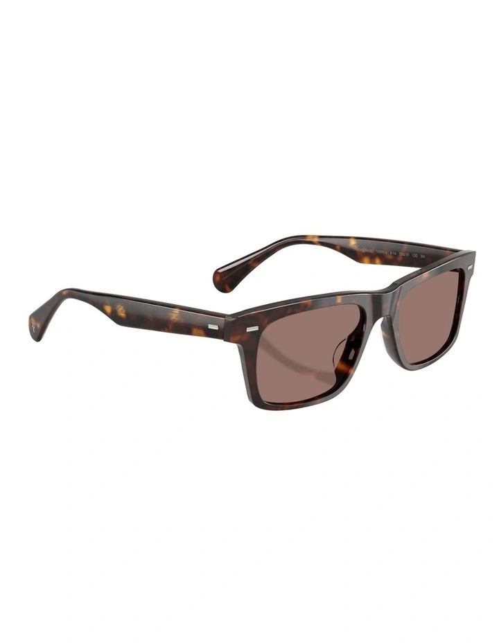 R-16 Acetate Sunglasses in Tortoise image 6