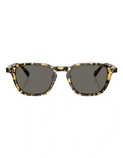 Emryn Acetate Sunglasses in Tortoise