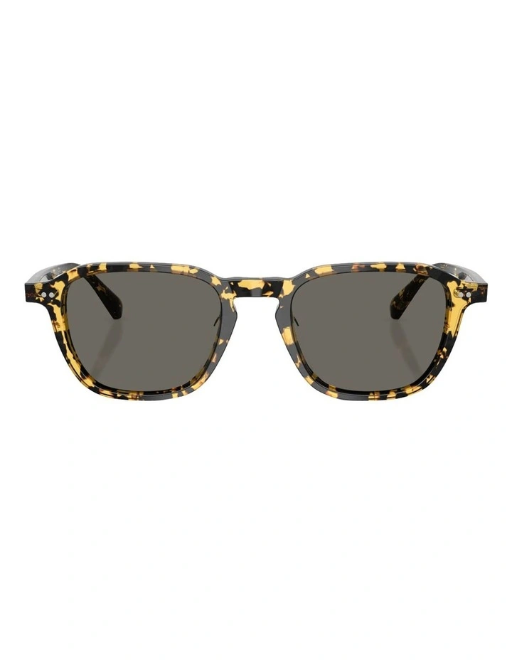 Emryn Acetate Sunglasses in Tortoise image 1