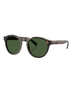 Acetate Sunglasses in Tortoise
