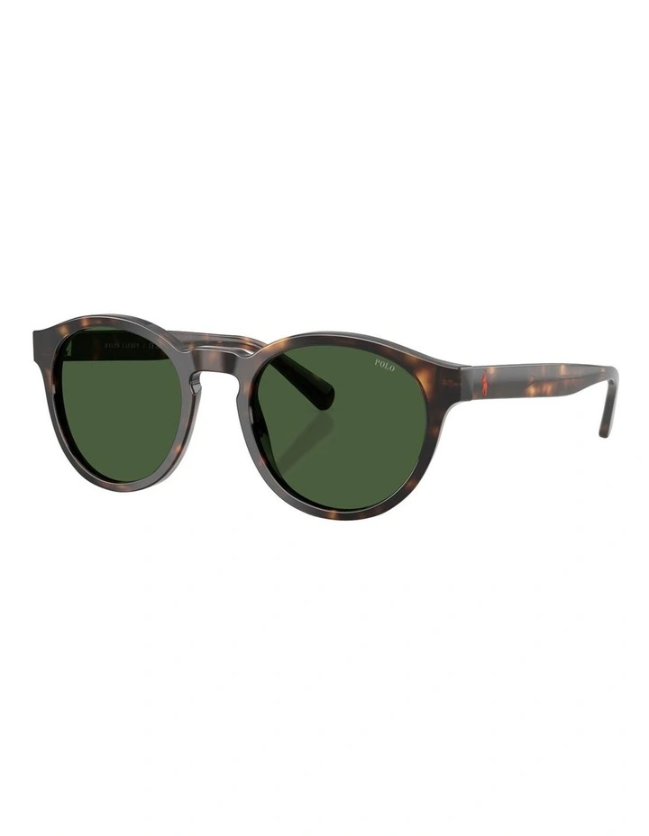 Acetate Sunglasses in Tortoise image 1