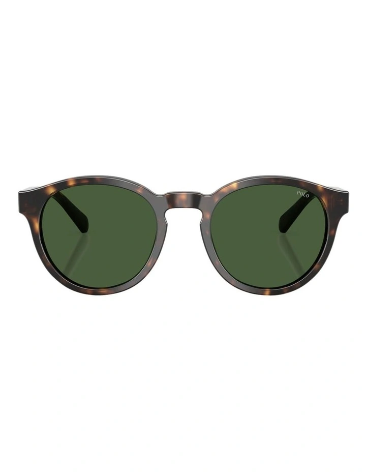Acetate Sunglasses in Tortoise image 2