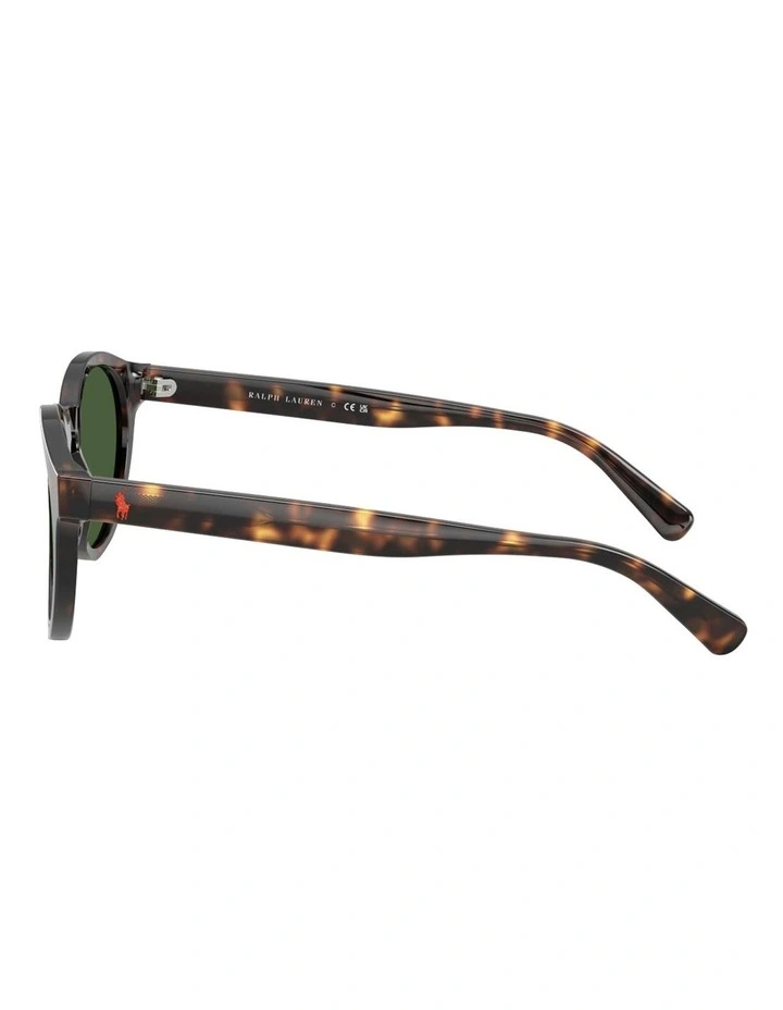 Acetate Sunglasses in Tortoise image 3