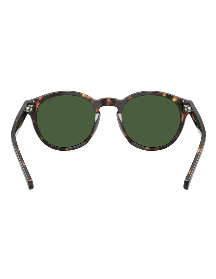 Acetate Sunglasses in Tortoise image 4