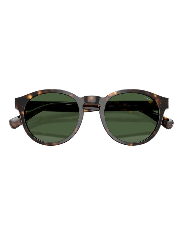 Acetate Sunglasses in Tortoise image 5