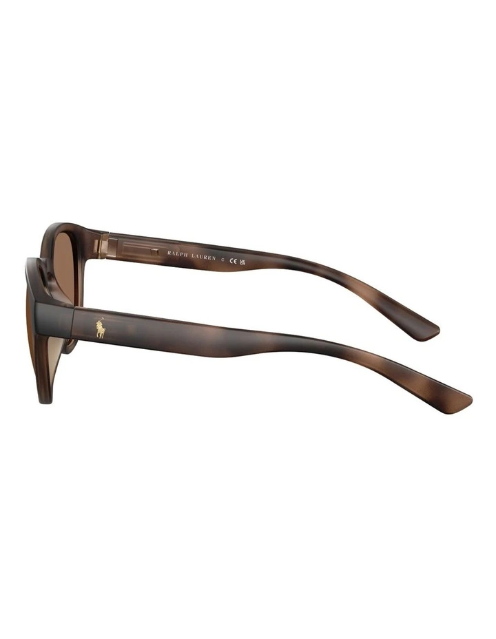 Injected Sunglasses in Tortoise image 3