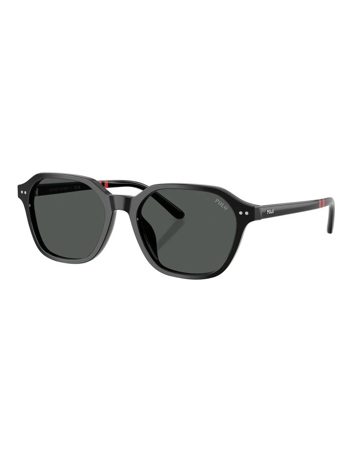 Acetate Sunglasses in Black image 1