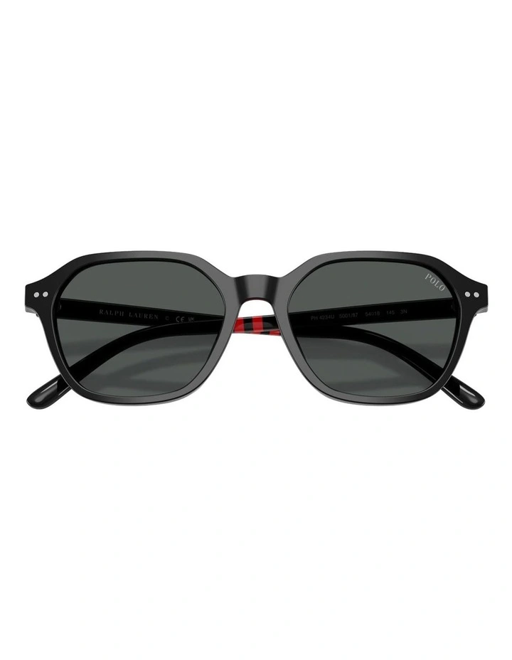 Acetate Sunglasses in Black image 5