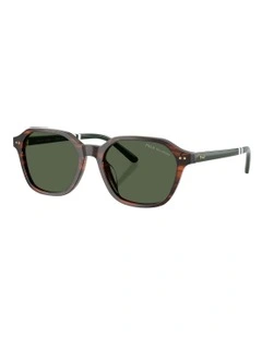 Acetate Polarized Sunglasses in Tortoise