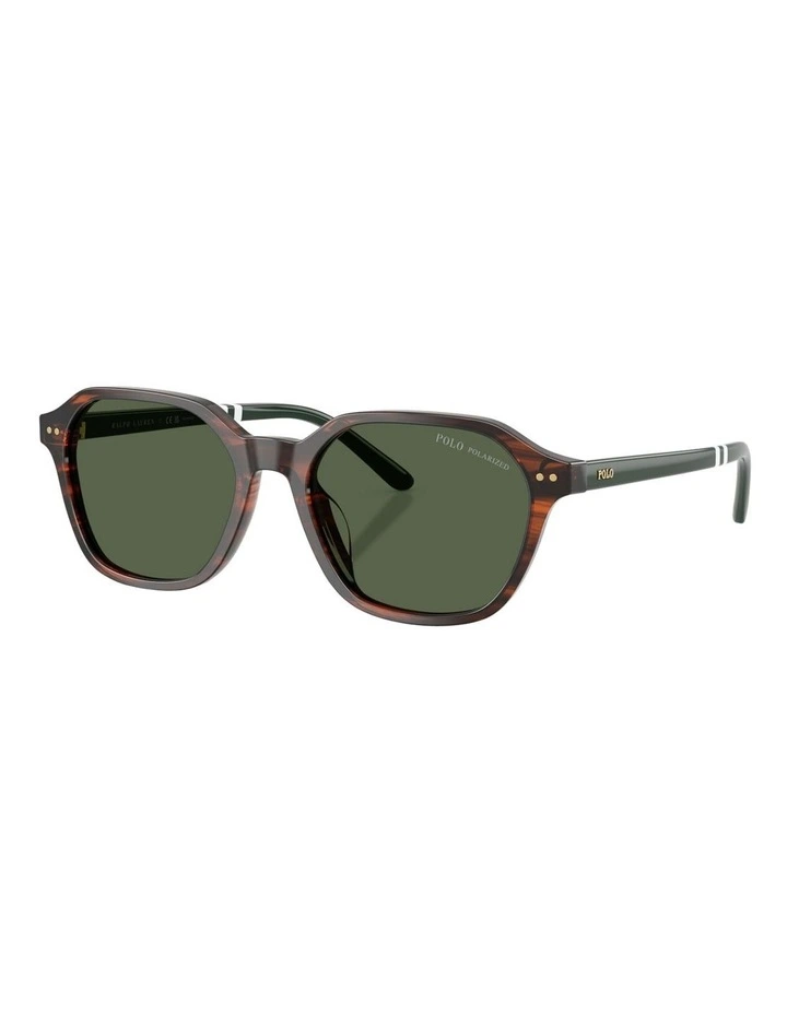 Acetate Polarized Sunglasses in Tortoise image 1