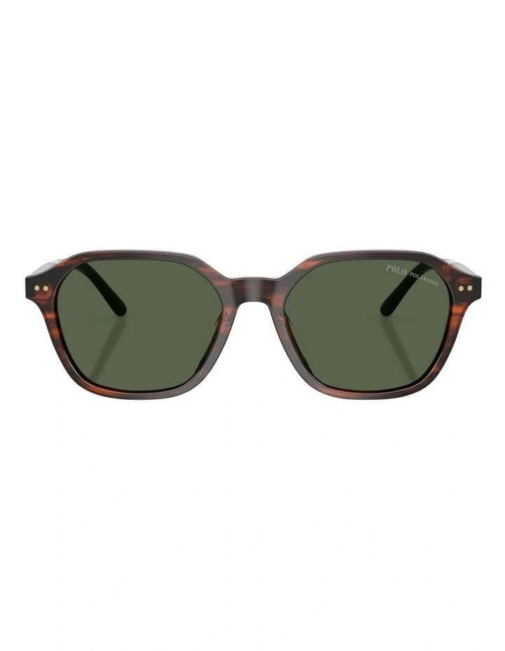 Acetate Polarized Sunglasses in Tortoise image 2