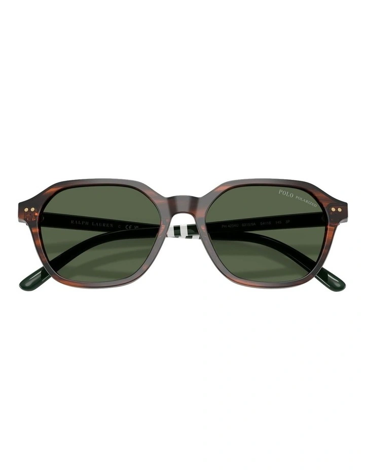 Acetate Polarized Sunglasses in Tortoise image 5