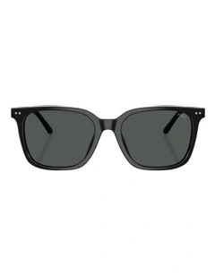 Acetate Sunglasses in Black