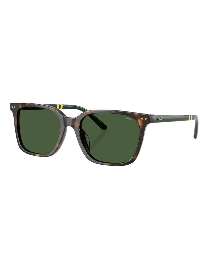 Acetate Sunglasses in Tortoise image 1