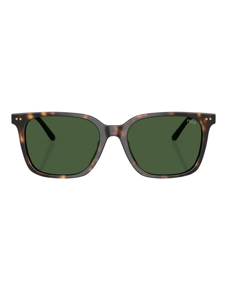 Acetate Sunglasses in Tortoise image 2