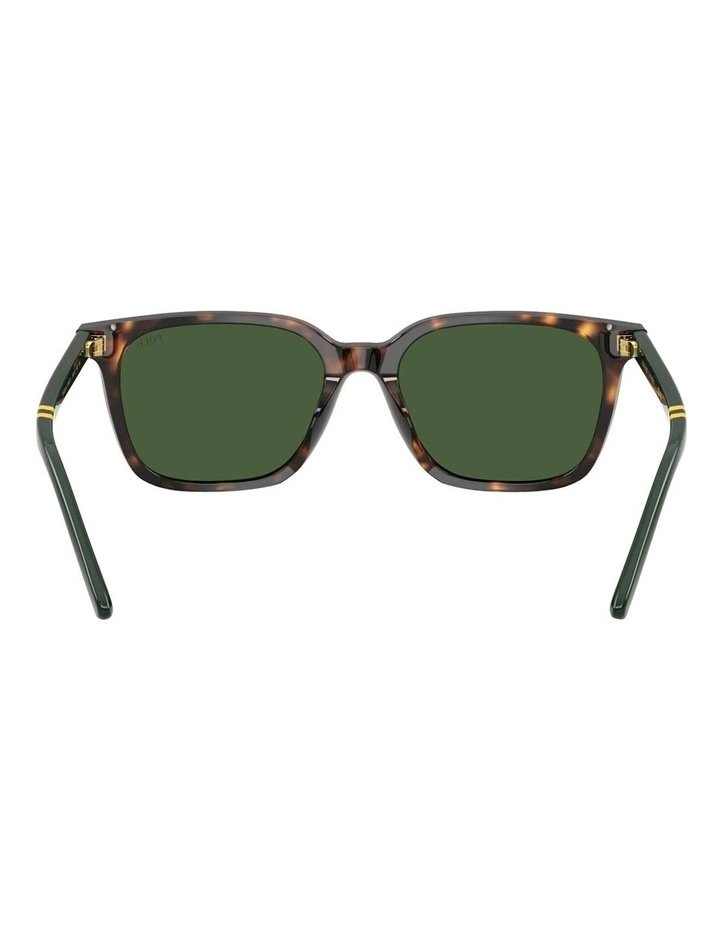 Acetate Sunglasses in Tortoise image 4