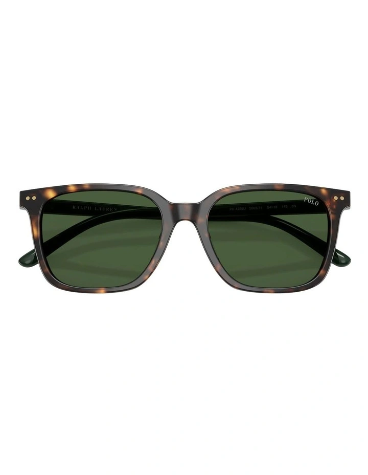 Acetate Sunglasses in Tortoise image 5